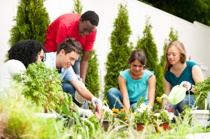 Tending to a garden